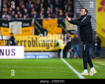 Nils Doering (SV Wehen Wiesbaden, entraîneur) gestikuliert, GER, SV Wehen Wiesbaden v. Dynamo Dresden, Fussball, 3. Bundesliga, 11. Spieltag, saison 2024/2025, 23.10.2024 LA RÉGLEMENTATION DFB INTERDIT TOUTE UTILISATION DE PHOTOGRAPHIES comme SÉQUENCES D'IMAGES et/ou QUASI-VIDÉO. Foto : Eibner-Pressefoto/Florian Wiegand Banque D'Images