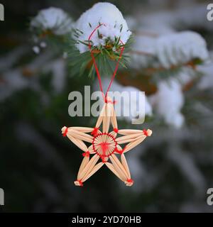 Magnifiques décorations de Noël naturelles en paille sur un sapin de Noël enneigé. Hiver nature coloré arrière-plan extérieur pour les vacances. Banque D'Images