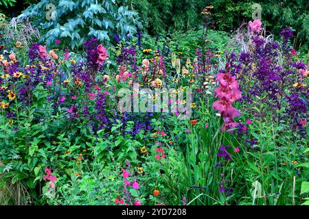 Dahlia Cornel Brons, Dahlia Burlesca, Heliposis Bleeding Hearts, Lychnis Hill Grounds, Kniphofia, Gladiolus Sugar Plum, Lobelia speciosa hadspen Purple, salv Banque D'Images