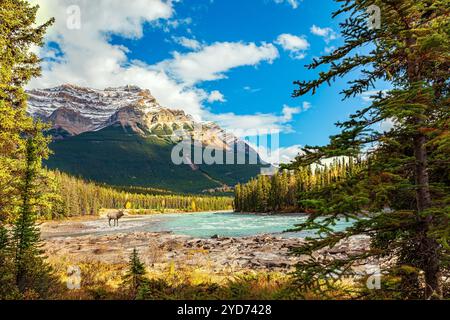 Les montagnes entourent la rivière Banque D'Images