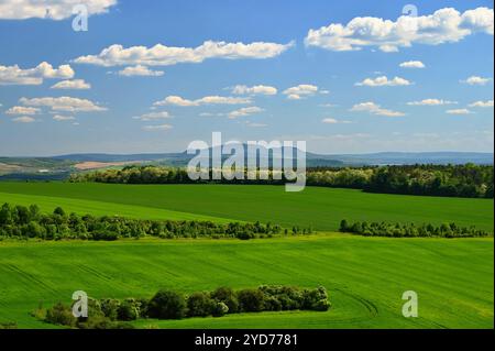 Vignobles sous Palava. République tchèque - région de Moravie du Sud région viticole. Banque D'Images