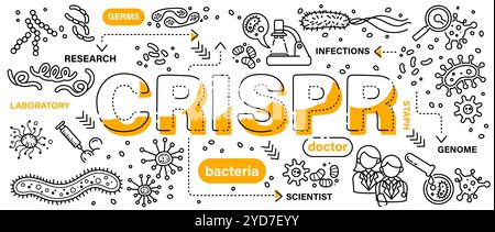 CRISPR-Cas9. Concept de biotechnologie et de génie génétique . Mot avec style de bannière d'art d'icône de ligne . Contour modifiable . Vecteur . Illustration de Vecteur