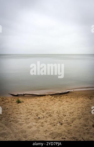 Paysage à la lagune de Curonian par un jour sombre Banque D'Images