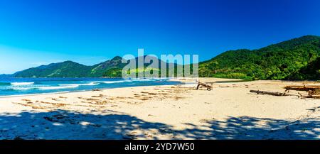 Plage de Castelhanos entre la mer, les montagnes et les forêts de l'île d'Ilhabela sur la côte de Sao Paulo Banque D'Images