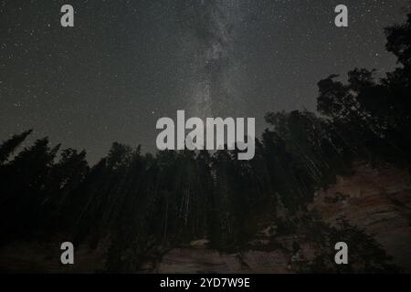 Astrophotographie de paysage, nature de l'Estonie, forêt de conifères sur grès abrupt à Taevaskoja, ciel étoilé et voie lactée. Banque D'Images