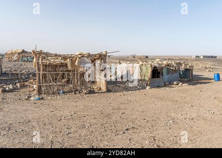 Logement traditionnel dans un village indigène éloigné d'Afar dans la dépression de Danakil, région d'Afar Ethiopie Banque D'Images