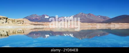 Lagon de haute montagne dans le désert chilien d'Atacama à plus de 4000 mètres d'altitude Banque D'Images