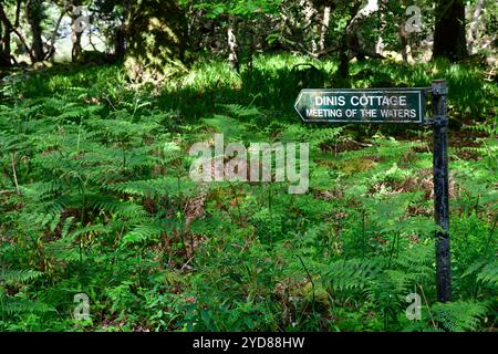 Panneau pointant vers Dinis chalet, réunion des eaux, panneau indicateur, parc national de Killarney, Kerry, Irlande, RM Irlande Banque D'Images