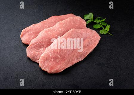 Filets d'escalope de poulet crus traditionnels décorés de mélisse offerts comme vue de dessus sur un tableau noir avec espace de copie Banque D'Images