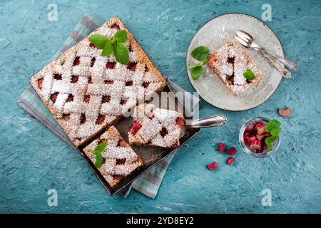 Gâteau traditionnel à la rhubarbe avec farine d'épeautre servi comme vue de dessus sur une assiette Nordic Design Banque D'Images