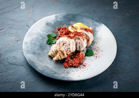 Tubes de calamars frits farcis de riz dans une sauce tomate hachée salsiccia servis en gros plan sur une assiette design avec espace de copie Banque D'Images