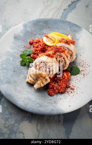 Tubes de calamars frits farcis de riz dans une sauce tomate hachée salsiccia servis en gros plan sur une assiette design avec espace de copie Banque D'Images