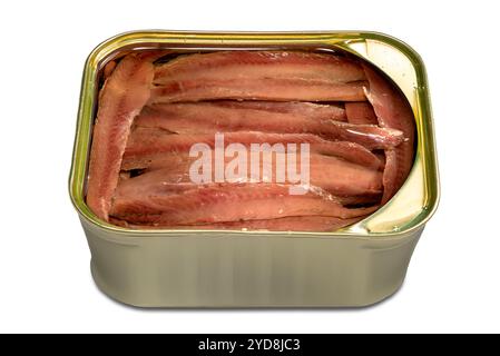 Filets d'anchois salés de la mer Cantabrique en boîte ouverte, conservés en boîte avec de l'huile d'olive, isolés sur blanc, vue de dessus, clip Banque D'Images