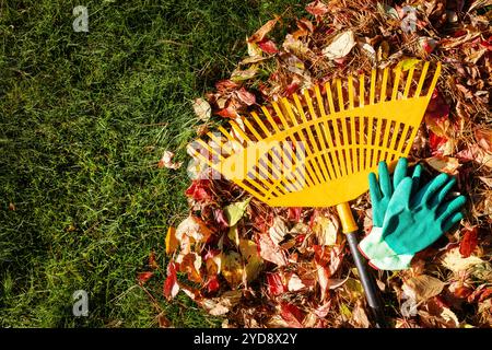 râteau avec des gants de jardin et pile de feuilles d'automne tombées. espace de copie de la vue de dessus Banque D'Images