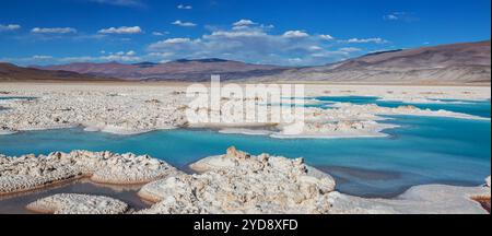 Paysages pittoresques fantastiques du nord de l'Argentine. De magnifiques paysages naturels inspirants. Laguna Verde à Salar Antofalla. Banque D'Images