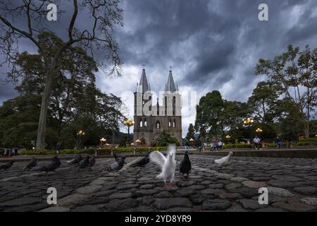 Plaza El Libertador et la Basilique de l'Immaculée conception à jardin, Colombie Banque D'Images