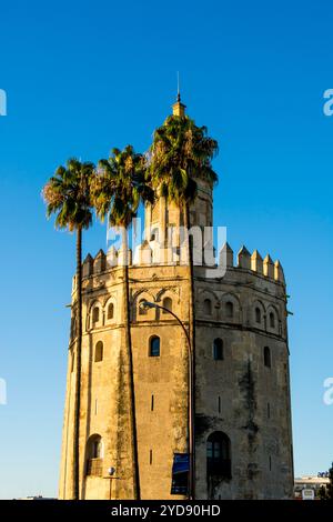 Torre del Oro (Tour d'Or) Tour de guet du moyen âge, Séville, Andalousie, Espagne. Banque D'Images