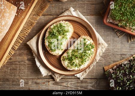 Deux tranches de pain au levain accompagné de pousses de cresson frais ou de microgreens, vue de dessus Banque D'Images