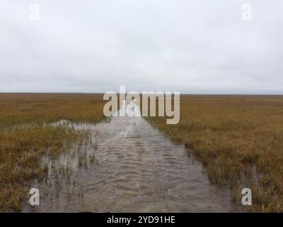 Paysage humide, terne et plat aux couleurs de l'automne avec un ruisseau qui coule à travers sans arbres, près d'Arviat, Nunavut, Canada Banque D'Images