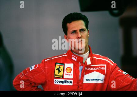 Michael Schumacher. Grand Prix de Grande-Bretagne 1996 Banque D'Images