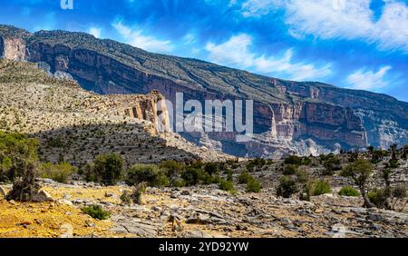 Jabal Shams, appelé Grand Canyon d'Arabie dans les montagnes de Hajar, au nord-est d'Oman au nord de la ville d'Al-Hamra Banque D'Images