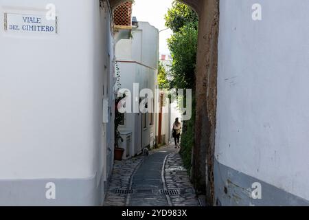 Maisons blanchies à la chaux à Viale del Cimitero, Anacapri, Île de Capri, Campanie, Italie. Banque D'Images