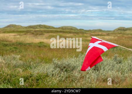 Le drapeau danois Dannebrog et le parc national de Thy dans le nord du Danemark Banque D'Images