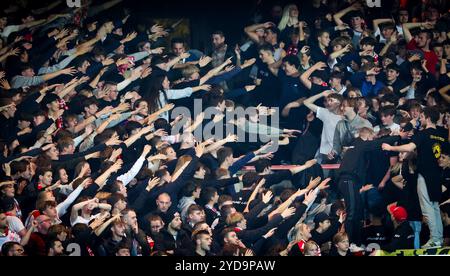 Kortrijk, Belgique. 25 octobre 2024. Les supporters de Kortrijk photographiés lors d'un match de football entre KV Kortrijk et Beerschot va, vendredi 25 octobre 2024 à Kortrijk, le jour 12 de la saison 2024-2025 de la première division du championnat belge 'Jupiler Pro League'. BELGA PHOTO VIRGINIE LEFOUR crédit : Belga News Agency/Alamy Live News Banque D'Images