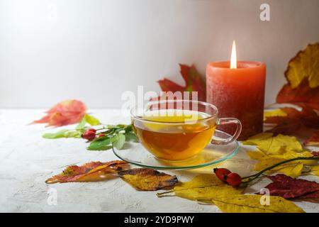 Tasse de thé, une bougie et beaucoup de feuilles d'automne rouges et dorées sur un fond clair, saison d'automne confortable, espace de copie, foyer sélectionné, profondeur étroite Banque D'Images