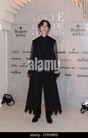 Mexico, Mexique. 24 octobre 2024. Axel Madrazo assiste au tapis rouge pour le gala Vogue Dia de Muertos au Palacio de Mineria. Le 24 octobre 2024 à Mexico, Mexique. (Photo de Yamak Perea/ Credit : Eyepix Group/Alamy Live News Banque D'Images