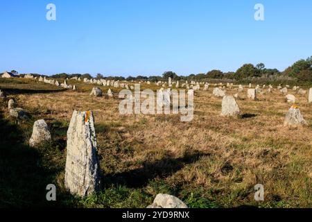 prähistorische Steinreihen von Menec, alignements de Carnac, Departement Morbihan, Region Bretagne Breizh, Frankreich *** rangées de pierres préhistoriques de Menec, alignements de Carnac, Morbihan, Bretagne Breizh, France Banque D'Images