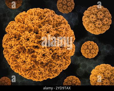 Rendus 3D de l'or capside du papillomavirus humain HPV sur une image de fond qui est une micrographie électronique à transmission inversée des particules du virus HPV récoltées et purifiées à partir du surnageant de culture cellulaire. L'infection par le VPH peut être asymptomatique, causer des verrues ou perturber la croissance cellulaire. En de rares occasions, la croissance cellulaire devient incontrôlée, causant le cancer. Environ 5 % des cancers dans le monde sont causés par le VPH. Papillomavirus humain HPV 016867 286 Banque D'Images