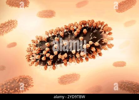 Mise en page créative présentant des rendus 3D du virus respiratoire syncytial RSV, un virus contagieux commun qui infecte les voies respiratoires humaines. Virus respiratoire syncytial humain RSV 016867 300 Banque D'Images