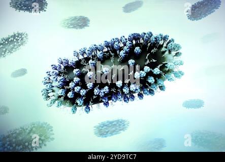 Mise en page créative présentant des rendus 3D du virus respiratoire syncytial RSV, un virus contagieux commun qui infecte les voies respiratoires humaines. Virus respiratoire syncytial humain RSV 016867 299 Banque D'Images