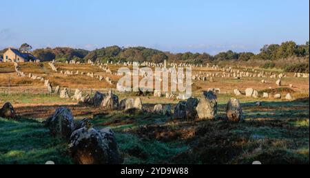 prähistorische Steinreihen von Menec, alignements de Carnac, Departement Morbihan, Region Bretagne Breizh, Frankreich *** rangées de pierres préhistoriques de Menec, alignements de Carnac, Morbihan, Bretagne Breizh, France Banque D'Images