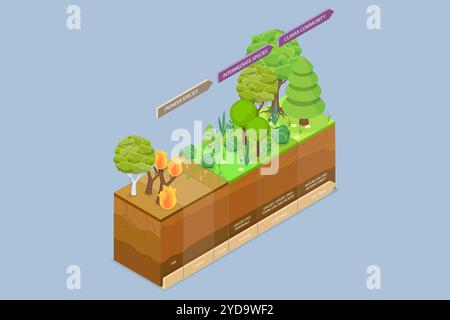 3D Isométrique plat illustration conceptuelle de la récupération écologique, succession des étapes du processus diagramme 3D Isométrique plat Conceptu Banque D'Images