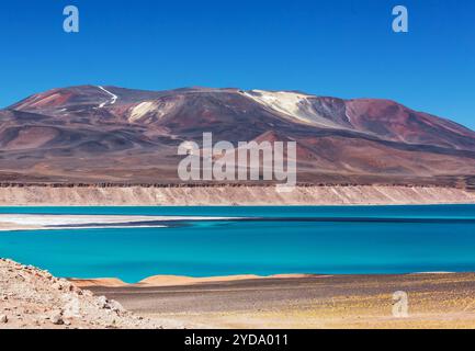 Paysages pittoresques fantastiques du nord de l'Argentine. De magnifiques paysages naturels inspirants. Laguna Verde à Salar Antofalla. Banque D'Images