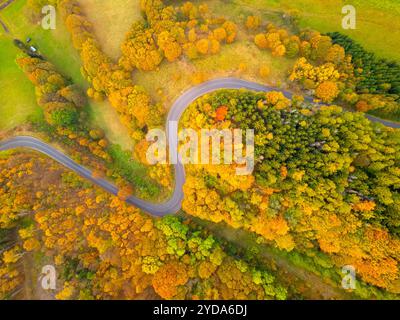 Une route sinueuse pittoresque serpente à travers le feuillage d'automne vibrant, présentant un mélange étonnant de feuilles dorées, oranges et vertes dans un cadre naturel serein. Banque D'Images