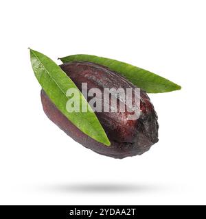 Gousse de cacao avec des feuilles vertes dans l'air sur fond blanc Banque D'Images