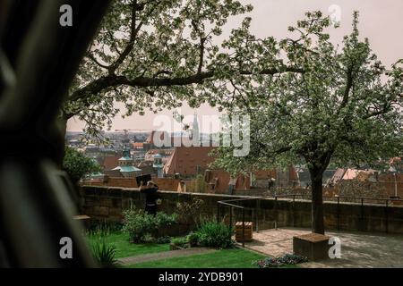 Vue de la vieille ville de Nuremberg, Allemagne. Banque D'Images