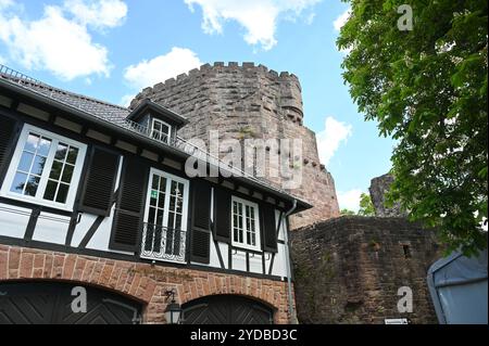 Forteresse de montagne de Dilsberg Banque D'Images