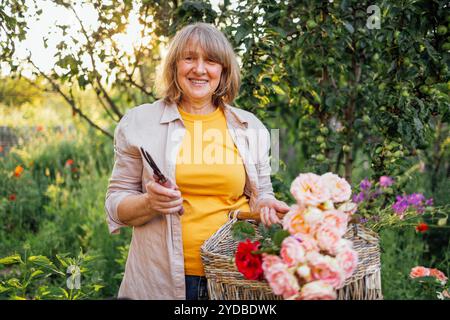 Une femme d'âge moyen souriante coupe des roses et les met dans un panier en osier. Un retraité heureux prend soin des fleurs dans le jardin de la maison. Un mature Banque D'Images