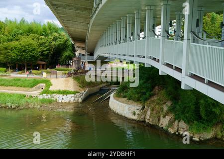 Ulsan, Corée du Sud - 5 octobre 2024 : une vue de dessous la passerelle piétonne avec des panneaux de verre sous le pont du jardin national, surplombant le Banque D'Images