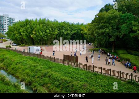 Ulsan, Corée du Sud - 5 octobre 2024 : les visiteurs se rassemblent dans la cour ouest du jardin national de la rivière Taehwa, entouré d'une dense bambou bosquet Banque D'Images