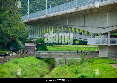 Ulsan, Corée du Sud - 5 octobre 2024 : le pont du jardin national s'étend sur la rivière Taehwa et le jardin national de la rivière Taehwa, avec un piéton Banque D'Images