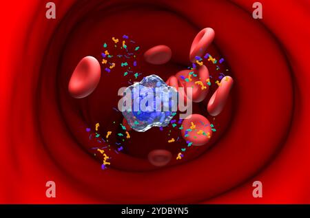 Mastocytes activés qui commencent à émettre des granules - vue en coupe, illustration 3D. Banque D'Images