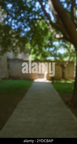 Scène extérieure floue à majorque avec des arbres floues et un chemin créant un arrière-plan bokeh tranquille. Banque D'Images