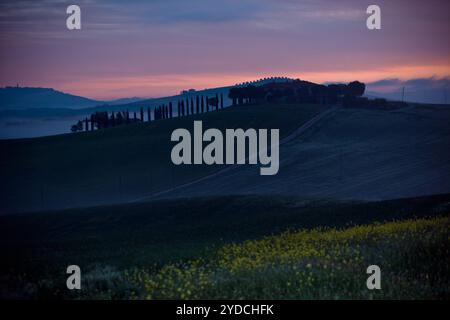 Vue du brouillard du matin sur la ferme en Toscane, Italie Banque D'Images