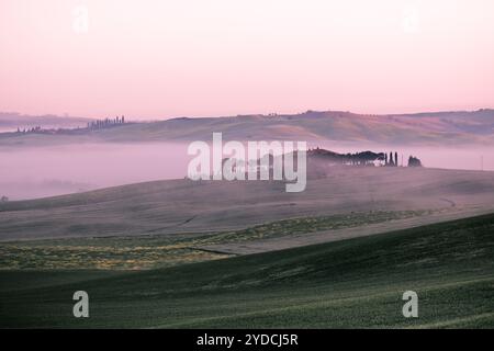 Vue du brouillard du matin sur la ferme en Toscane, Italie Banque D'Images