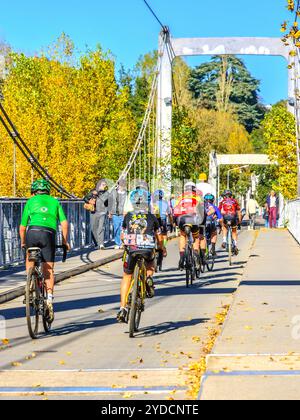 Groupe de cyclistes en formation de vêtements de sport et franchissant un pont non-trafic sur la Loire - Tours, Indre-et-Loire (37), France. Banque D'Images